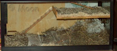 eb05.jpg